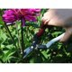 thumbnail image 3 of Tijeras para Frutas Okatsune No. 307 Acero al Carbono 18 cm, 3 of 6