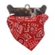thumbnail image 1 of Bandana Roja para Mascota 13*17cm, 1 of 3