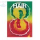 thumbnail image 1 of CD Masterworks Broadway Hair – Elenco Original 1989, 1 of 1