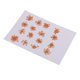 thumbnail image 4 of 16 Piezas De Flores Prensadas Secas DIY En Relieve Material De La Caja Del Teléfono Del Marco De La Foto, 4 of 5