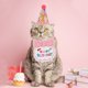 thumbnail image 5 of Decoraciones de Cumpleaños de Gato Sombrero y Pañuelo Rosa, 5 of 7