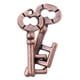 thumbnail image 3 of Mind Game Puzzles Wire Brain Teaser IQ Test Toy Para Ni?os Adultos Bronce, 3 of 3
