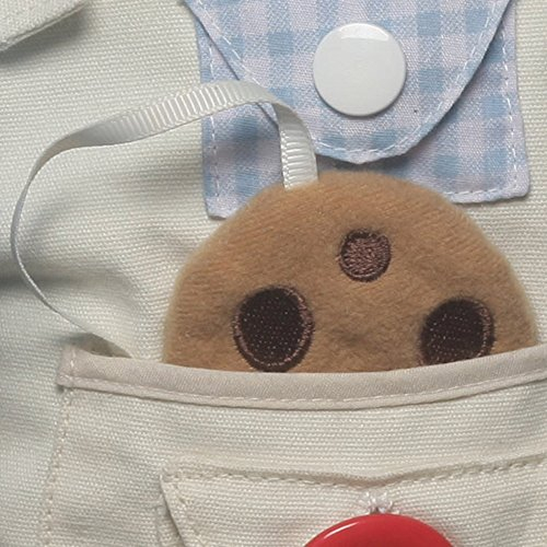 Gund Enséñame Cookie Monster 17""