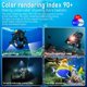 thumbnail image 3 of Lámpara de buceo LetonPower B24, 9000 lúmenes, 80 m, resistente al agua, 3 of 7