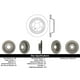 thumbnail image 2 of Disco Freno para auto BMW 530d 1995-2003 Trasero, 2 of 2