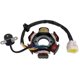 thumbnail image 1 of Estator Magnético GY6 Store 6 Bobinas 5 Hilos 110-125cc para ATV, 1 of 4