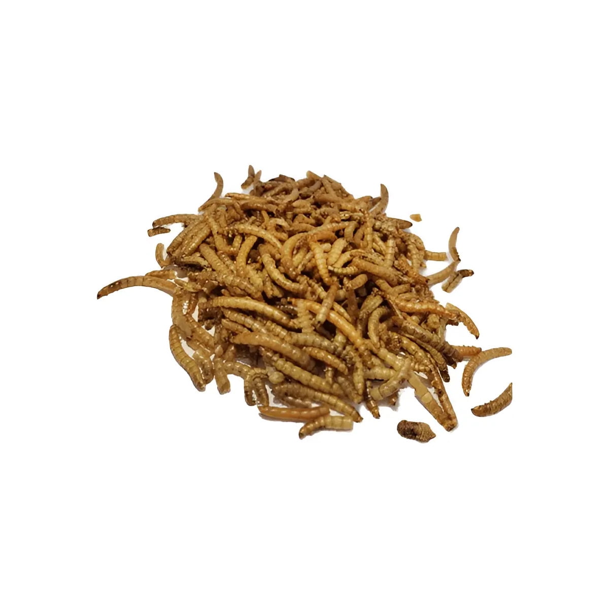 Alimento Tenebrios Deshidratados 100 Gr Erizos Peces Tortuga