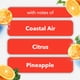 thumbnail image 4 of Ambientador Plugins Coastal Sunshine Citrus 20 Ml, 4 of 7