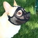 thumbnail image 2 of Bozal para bulldog francés, bozal de hocico corto para shih tzu, bulldog inglés, bozal de malla con lengua afuera, bozal de cara plana., 2 of 6