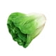 thumbnail image 2 of Vegetal Artificial Realista De Poliuretano Artificial Para Decorar La Sala De Estar, Lechuga Navide?a., 2 of 5