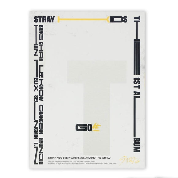 Álbum Stray Kids Go? Standard Ver B Cd