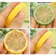 thumbnail image 2 of Xiao Hua 10 Piezas de Rodajas de Limón Amarillo Falso Fruta artificial Simulación Modelo Realista Adecuado para Decoración de Fiesta en Casa, 2 of 4