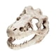 thumbnail image 1 of Acuario Dinosaurio Cráneo Cabeza Decoración Pecera Dinosaurio Cráneo Modelo, 1 of 5