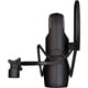 thumbnail image 4 of Micrófono Aston Microphones Element Bundle con auriculares, 4 of 7