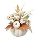 thumbnail image 1 of Flor de calabaza falsa, decoración de otoño, bayas navideñas, fiesta de Acción de Gracias, accesorios de fotografía, adorno, centros de mesa, Hojas de Estilo B, 1 of 5