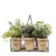 thumbnail image 1 of Planta Decorativa Decorativas 6 Canasto Metalico, 1 of 1