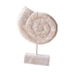 thumbnail image 5 of Estatua De Madera Para Mesa De Playa, Decoración Artística, Figura Para Ba?o, Playa, Casa De Campo, Forma De Caracola, 5 of 5
