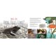 thumbnail image 4 of Libro Newmark Learning: Ribbit! La Verdad Sobre las Ranas, 4 of 9