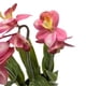 thumbnail image 4 of Planta Artificial Orquidea Rosada Decorativa Macetero Loza, 4 of 5