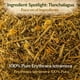thumbnail image 3 of Té de hierbas Tlanchalagua B-Experts 113 g natural vegano, 3 of 9