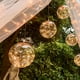 thumbnail image 3 of Guirnalda Luces 10 Bola Led Hada Navidad Cadena Cascada, 3 of 3