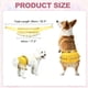 thumbnail image 2 of Falda de Bailarina de Vientre para Perros Uxcell, Cadena de Cintura Cortina de Cadera Ropa Disfraz de Perro Traje de Baile de Cadera con Pañuelo con Lentejuelas (Chifón, Amarillo), 2 of 6