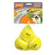 thumbnail image 1 of Juguete para perros Nylabone Power Play Tennis Gripz Fetch con Squeaker, 1 of 9