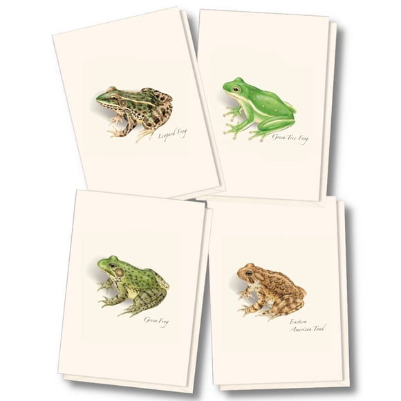 Juego de 8 tarjetas de felicitación Earth Sky + Water – Ranas y Sapos