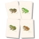 thumbnail image 1 of Juego de 8 tarjetas de felicitación Earth Sky + Water – Ranas y Sapos, 1 of 6