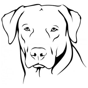 Rienda Libre Graphics - Decomural Labrador Dog Ws-17590