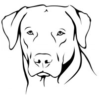 Rienda Libre Graphics - Decomural Labrador Dog Ws-17590
