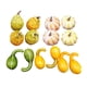 thumbnail image 2 of Calabazas Artificiales De Cosecha, Modelo Vegetal De Halloween, Colores Surtidos Duraderos, Estilo E, 2 of 5