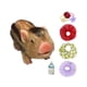 thumbnail image 2 of Juguete De Cerdo Renacido En Miniatura Divertido Para La Decoración Del Hogar Accesorios Para Fotos Regalo De Cumpleaños Estilo C, 2 of 3