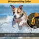 thumbnail image 5 of Collar de adiestramiento para perros Educator EZ-900, alcance de 800 m, resistente al agua, 5 of 6