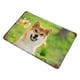 thumbnail image 3 of Shiba Inu Cartel Metálico, Decoración de Pared de Cartel Metálico Personalizado para Regalos de Fans, Amigos, Familia y Amantes 30*40cm, 3 of 6