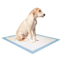 50 Sabanillas Entrenamiento 90X60Cm Perros Mascotas Petwoow