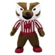 thumbnail image 1 of Figura de peluche Bleacher Creatures Wisconsin Badgers Bucky 10, 1 of 5