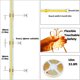 thumbnail image 2 of Tira LED COB GOMING 24V 10M 3000K Blanco Calido 6300lm, 2 of 3