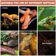 thumbnail image 5 of Refugio para reptiles KFPSHLQE 28x20x10 cm con sensor de temperatura/humedad, 5 of 6