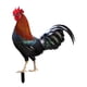 thumbnail image 2 of Figuras De Estacas De Estatua De Animales De Gallo, Estaca De Gallina Para Decoración De Patio Y Césped, 2 of 5