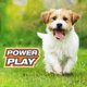 thumbnail image 5 of Juguete para perros Nylabone Power Play Tennis Gripz Fetch con Squeaker, 5 of 9