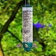 thumbnail image 1 of Comedero para pájaros Squirrel-Prode, comedero colgante para pájaros silvestres Squirrel Prode para exteriores (pequeño), 1 of 7