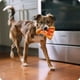 thumbnail image 5 of Pupy Roni Pizza - Peluche sensorial para perros, 5 of 5