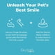 thumbnail image 3 of Kit Cuidado Dental Oxyfresh Perro Gato, 3 of 3