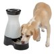 thumbnail image 1 of Estación de agua PetSafe Healthy Pet, mediana, capacidad de 3,8 litros, 1 of 5