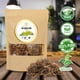 thumbnail image 3 of Té de Hierba de Ruda Seca Herb Cure wid Pure 56 g, 3 of 7