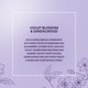 thumbnail image 5 of Perfume Jones New York Flor de violeta y sándalo, 100 ml, 5 of 5
