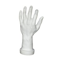 Ioensy - Modelo De Mano Fake Human Hand For Temed Party Cosplay Decoración Capacitación De Uñas Hand Blanca