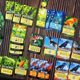 thumbnail image 5 of Juego de mesa Canopy Evergreen de Weird City Games: estrategia, 5 of 9