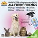 thumbnail image 5 of Pet Cologne Bodhi Dog, polvo natural para bebés, 500 ml, 5 of 6